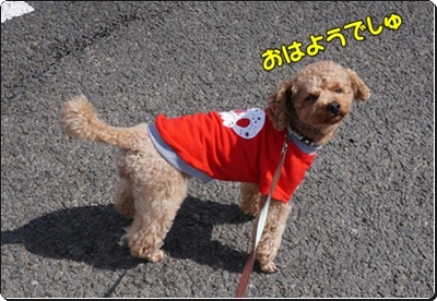 DSC08250.JPG