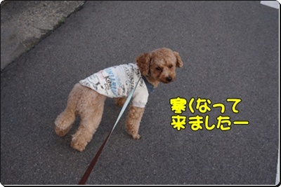 DSC08291.JPG