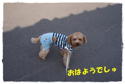 DSC08776.JPG