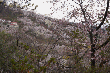 景色2.gif