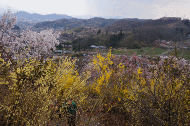 景色3.gif
