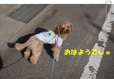DSC08693.JPG