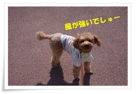 DSC08936.JPG