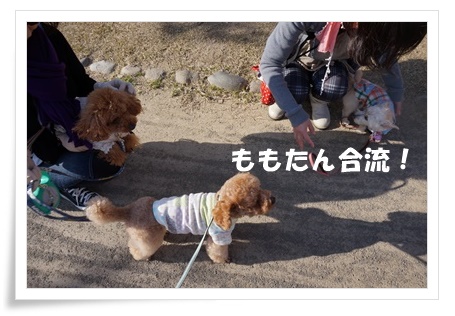 DSC09033.JPG