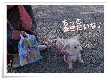 DSC09114.JPG