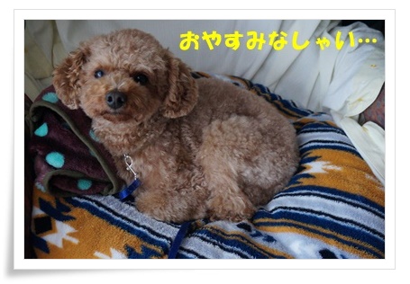 DSC09126.JPG