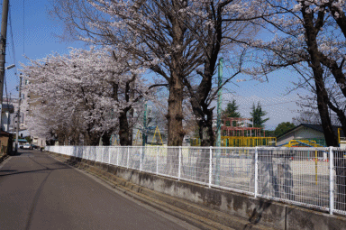 さくら1.gif