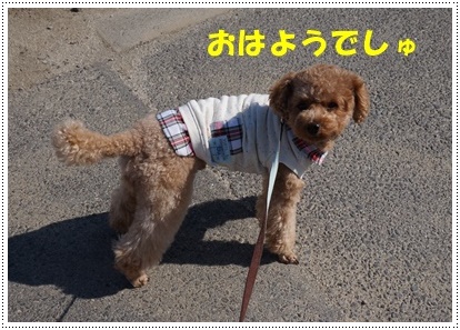 DSC09132.JPG