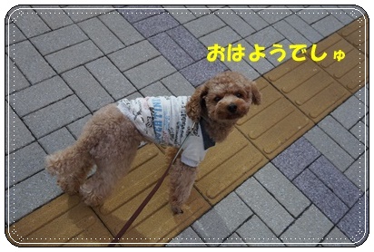 DSC09360.JPG