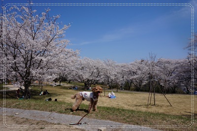 DSC09506.JPG
