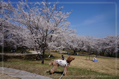 DSC09514.JPG