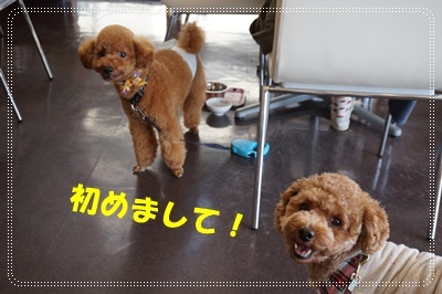 DSC09555.JPG