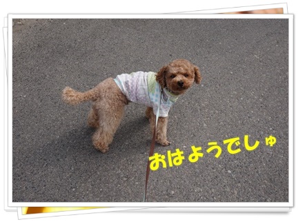 DSC09670.JPG