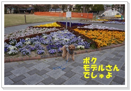 DSC09743.JPG