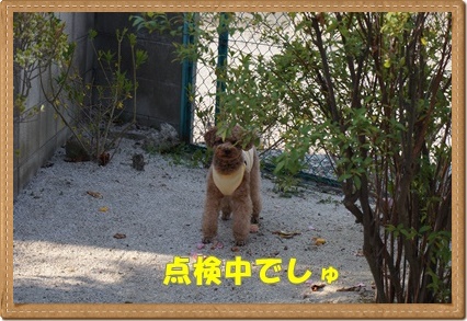 DSC09815.JPG