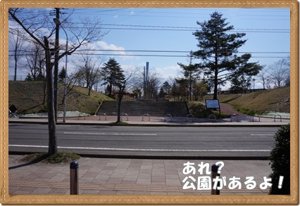 DSC09821.JPG
