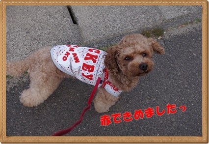 DSC09870.JPG