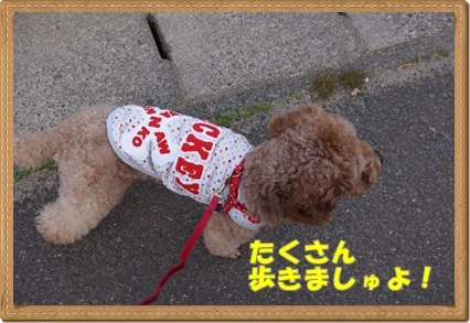 DSC09872.JPG