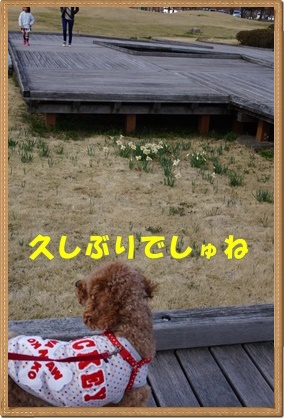 DSC09878.JPG