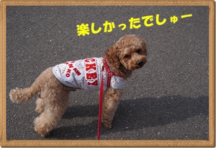 DSC09898.JPG