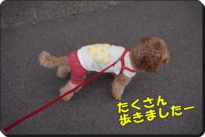 DSC00008.JPG