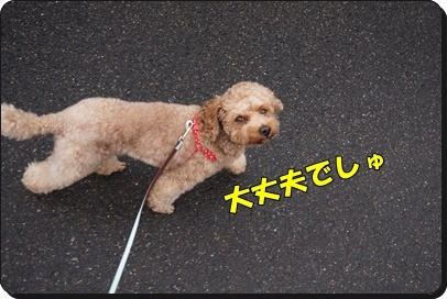 DSC09981.JPG
