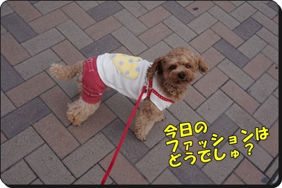 DSC09988.JPG