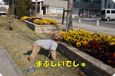 DSC00017.JPG