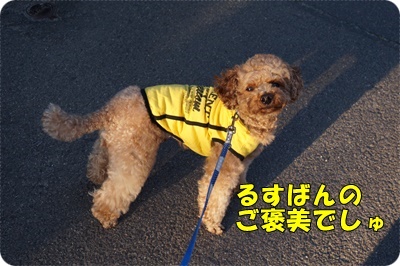 DSC00024.JPG