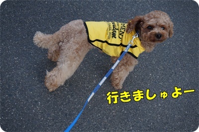 DSC00027.JPG