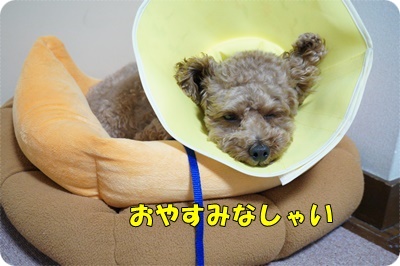 DSC00034.JPG