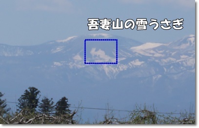 DSC00075.JPG