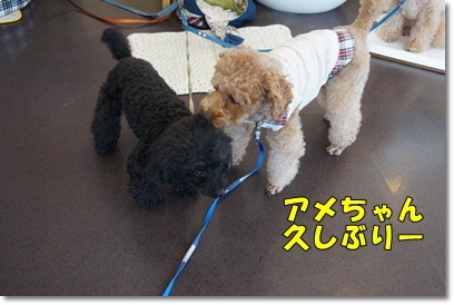 DSC00103.JPG