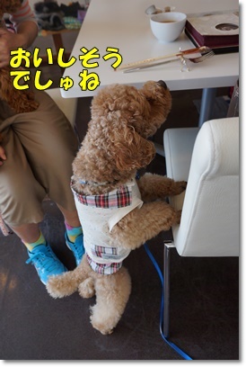 DSC00141.JPG