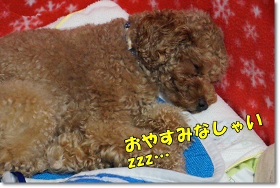 DSC00179.JPG