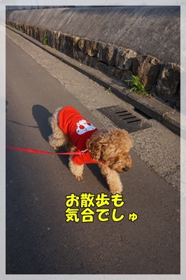 DSC00365.JPG