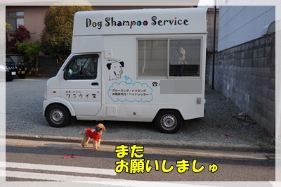 DSC00376.JPG