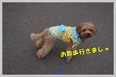 DSC00438.JPG