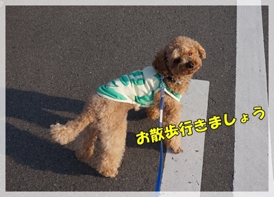 DSC00441.JPG