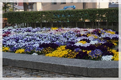 DSC00448.JPG