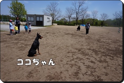 DSC01034.JPG