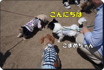 DSC01036.JPG