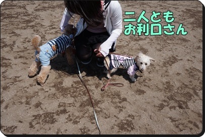 DSC01080.JPG