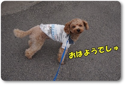DSC01185.JPG