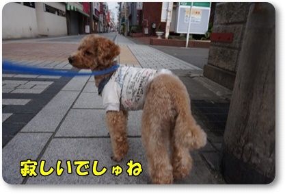 DSC01209.JPG