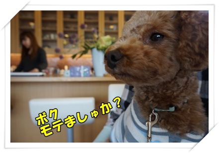 DSC01260.JPG