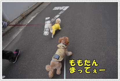 DSC01392.JPG