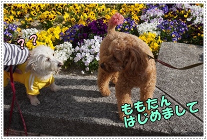 DSC01403.JPG