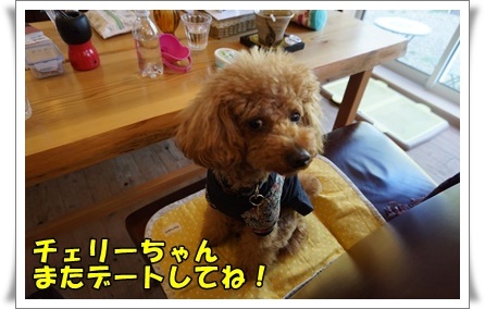 DSC01712.JPG