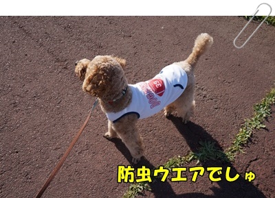 DSC01721.JPG